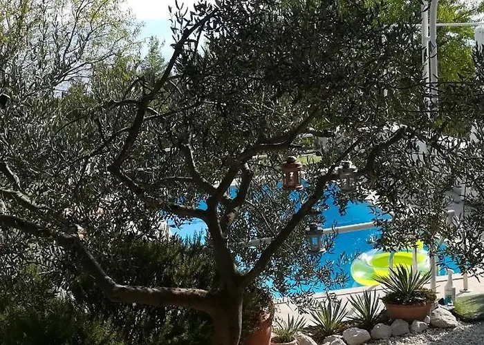 Ana Makarska